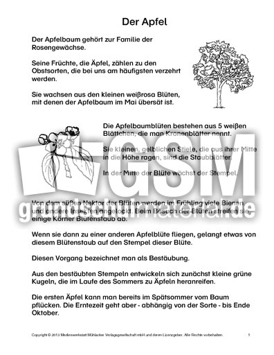 Der-Apfel-Lesetext-1-3.pdf